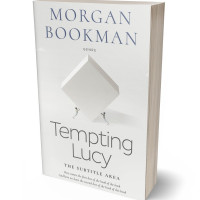 Tablet view of Desert Storm #7332 - Premade Self-Improvement & Self-Help Book Cover | BookCoverZone