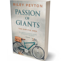 Tablet view of Cloud #7435 - Premade Literary Fiction Book Cover