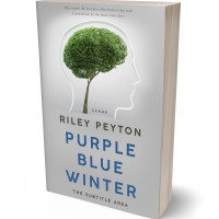 Tablet view of Pumice #7442 - Premade Education Book Cover | BookCoverZone