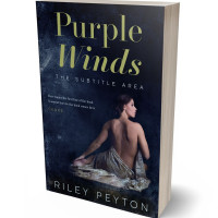 Tablet view of Mirage #7458 - Premade Erotica Book Cover