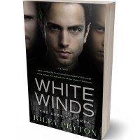 Tablet view of Zorba #7480 - Premade Action & Adventure Book Cover