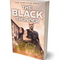 Tablet view of Cameo #7496 - Premade Historical Book Cover