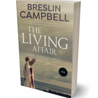 3D view of Pale Oyster #7902 - Premade Romance Book Cover