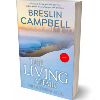 Tablet view of Heather #7913 - Premade Travel Book Cover | BookCoverZone