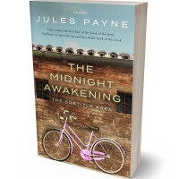 3D view of Roman Coffee #7942 - Premade Literary Fiction Book Cover