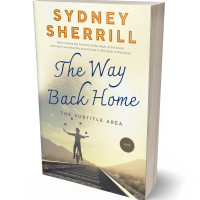 Tablet view of Aths Special #7988 - Premade Literary Fiction Book Cover