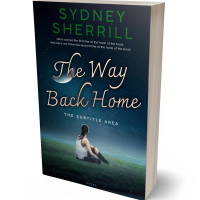 3D view of Premade Romance Book Cover - Firefly