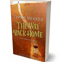 Tablet view of Hawaiian Tan #8162 - Premade Teen & Young Adult Book Cover | BookCoverZone