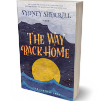 Tablet view of Gun Powder #8164 - Premade Abstract Book Cover