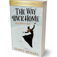 3D view of Premade Teen & Young Adult Book Cover - Pumice