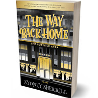 Tablet view of Putty #8177 - Premade Historical Book Cover