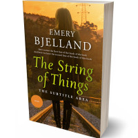 3D view of Brown Tumbleweed #8182 - Premade Romance Book Cover