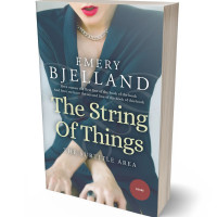 3D view of Sisal #8189 - Premade Chick Lit Book Cover