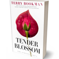 Tablet view of Old Brick #8269 - Premade Erotica Book Cover