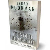 3D view of Gray Nickel #8291 - Premade Romance Book Cover