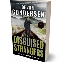 3D view of Premade Mystery & Thriller & Suspense Book Cover - Ash