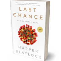 Tablet view of Antique Brass #8412 - Premade Apocalyptica Book Cover | BookCoverZone