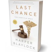 Tablet view of Pampas #8452 - Premade Politics & Law & Society Book Cover | BookCoverZone