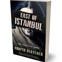 Tablet view of Sisal #8488 - Premade Mystery & Thriller & Suspense Book Cover | BookCoverZone