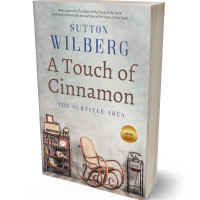 3D view of Premade Literary Fiction Book Cover - Cloud