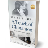 3D view of Iron #8542 - Premade Romance Book Cover