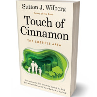 Tablet view of Killarney #8565 - Premade Abstract Book Cover