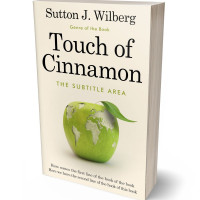 Tablet view of Quarter Spanish White #8567 - Premade Abstract Book Cover