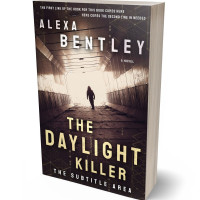 3D view of Double Spanish White #8978 - Premade Mystery & Thriller & Suspense Book Cover