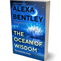 Tablet view of Denim #9044 - Premade Religion & Spirituality Book Cover