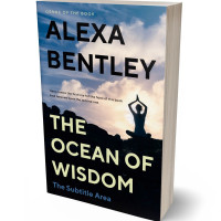 Tablet view of Ebony #9066 - Premade Health & Mind & Body Book Cover