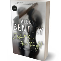 Tablet view of Masala #9080 - Premade Erotica Book Cover