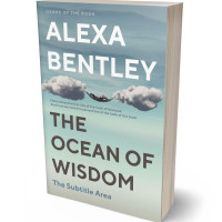 Tablet view of Powder Ash #9086 - Premade Abstract Book Cover