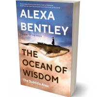 Tablet view of Clam Shell #9087 - Premade Fantasy Book Cover | BookCoverZone