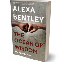 Tablet view of Olive Haze #9088 - Premade Politics & Law & Society Book Cover