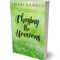 3D view of Feijoa #9644 - Premade Abstract Book Cover