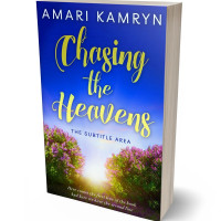 Tablet view of Chino #9645 - Premade Abstract Book Cover