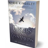 3D view of French Gray #9664 - Premade Religion & Spirituality Book Cover