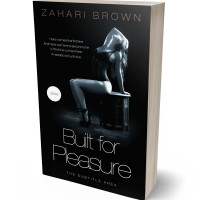 Tablet view of Woodsmoke #10127 - Premade Erotica Book Cover