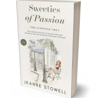 Tablet view of Pampas #10174 - Premade Travel Book Cover