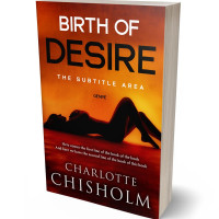 Tablet view of Rock Spray #10243 - Premade Erotica Book Cover | BookCoverZone