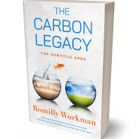 Tablet view of Desert Storm #10282 - Premade Science & Nature Book Cover