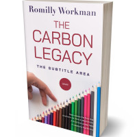 3D view of Limed Spruce #10286 - Premade Business Book Cover