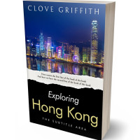 Tablet view of Mirage #10339 - Premade Travel Book Cover