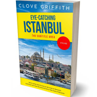 Tablet view of Ripe Lemon #10342 - Premade Travel Book Cover