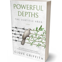 Tablet view of Desert Storm #10391 - Premade Self-Improvement & Self-Help Book Cover