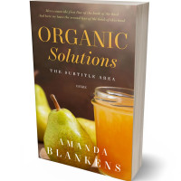 Tablet view of Quincy #10523 - Premade Health & Dieting & Fitness Book Cover