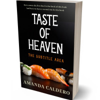 Tablet view of Whiskey #10563 - Premade Travel Book Cover