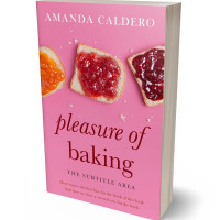 Tablet view of Carissma #10568 - Premade Travel Book Cover | BookCoverZone