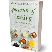 Tablet view of Celeste #10569 - Premade Travel Book Cover