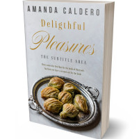 Tablet view of Iron #10587 - Premade Travel Book Cover